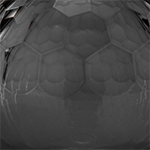 Black Transparent